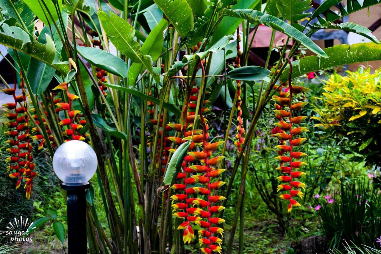 Bardia Wildlife Resort Bardiyā Exterior foto