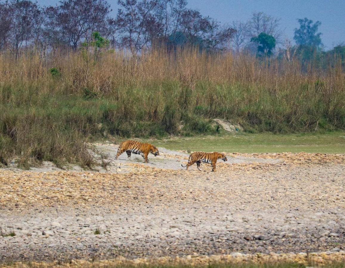 Bardia Wildlife Resort Bardiyā Exterior foto